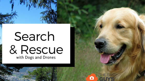 BigDroneShow's tweet photo. Search &amp; Rescue with Dogs and Drones https://t.co/nf8UXc8BJA https://t.co/iQDij3A2EI