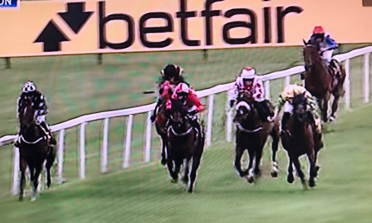 amajox's tweet photo. Congrats @amajox @JessicaCooley07 wins final @Betfair @RiponRaces #StrictlyArt #AlanBailey👏#topjock🏇#greatpartners 🏆 https://t.co/oUqAvpyD6b