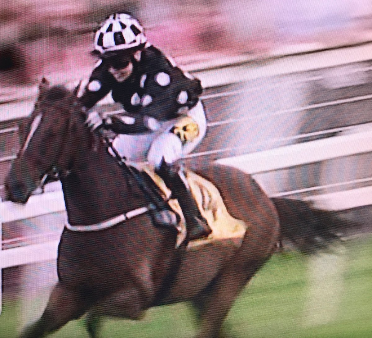 amajox's tweet photo. Congrats @amajox @JessicaCooley07 wins final @Betfair @RiponRaces #StrictlyArt #AlanBailey👏#topjock🏇#greatpartners 🏆 https://t.co/oUqAvpyD6b