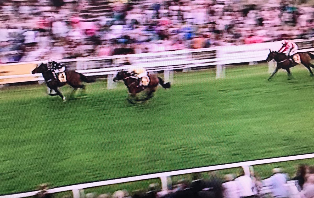 amajox's tweet photo. Congrats @amajox @JessicaCooley07 wins final @Betfair @RiponRaces #StrictlyArt #AlanBailey👏#topjock🏇#greatpartners 🏆 https://t.co/oUqAvpyD6b