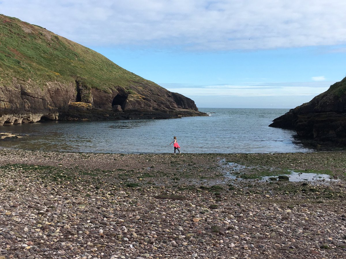 Eddie Mulligan tweet media