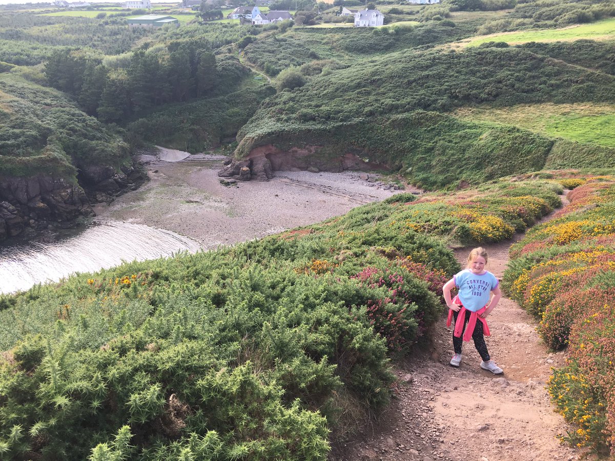 Eddie Mulligan tweet media