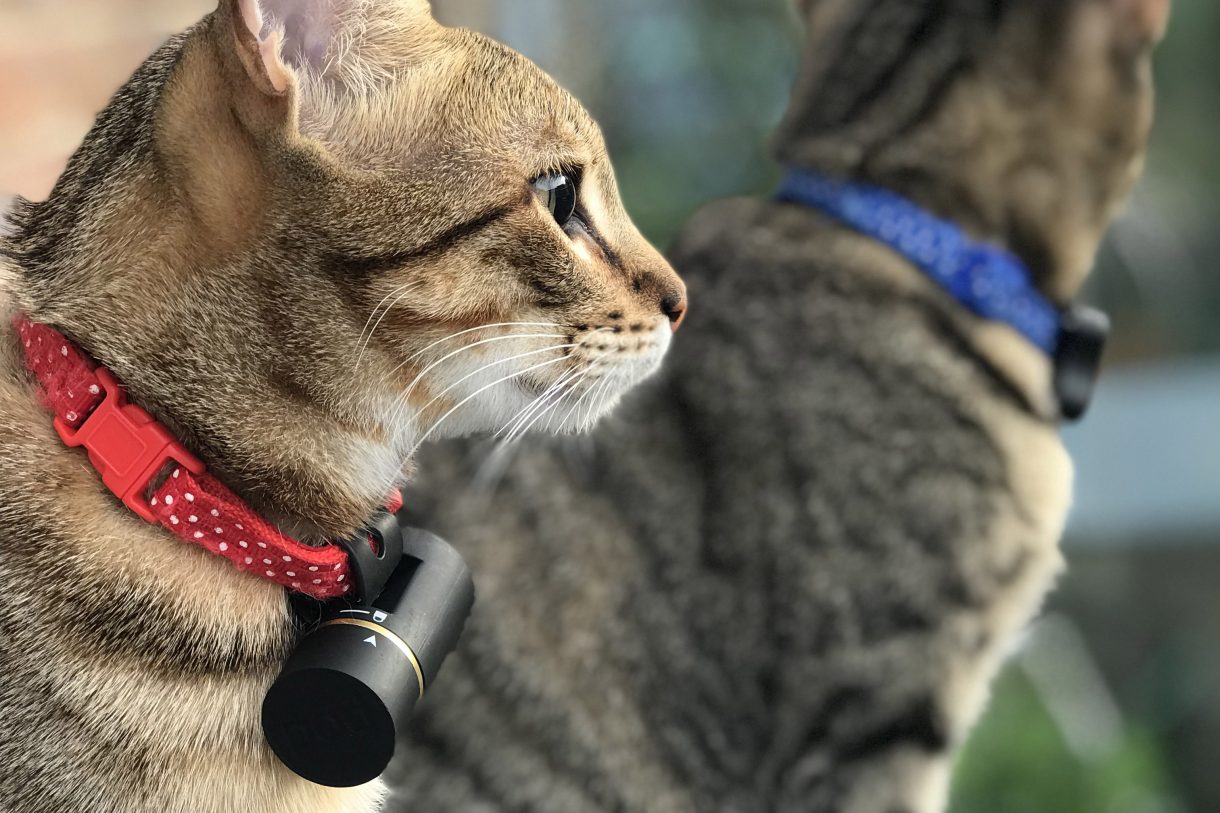 Pod 3 pet tracker discount