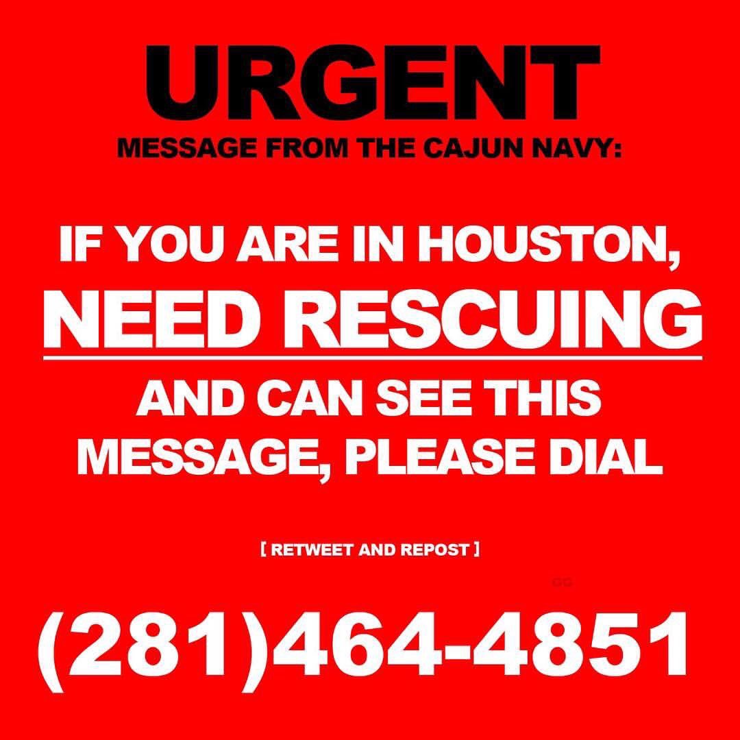 Corey Paul tweet media