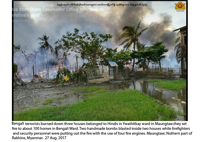 Rakhine News. Myanmar
Bengali Terrorist Attack. Maungtaw; Northern part of Rakhine
27 August 2017