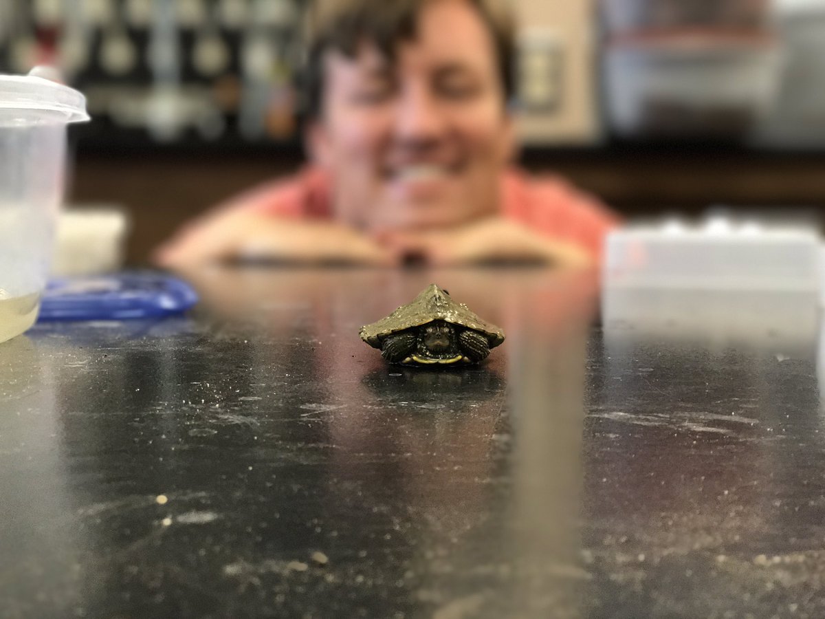 jfarkas14's tweet photo. False map #turtles: present in the flowing Missouri River, but not so much in reservoirs #kerbysark https://t.co/GQguCrY3Ny
