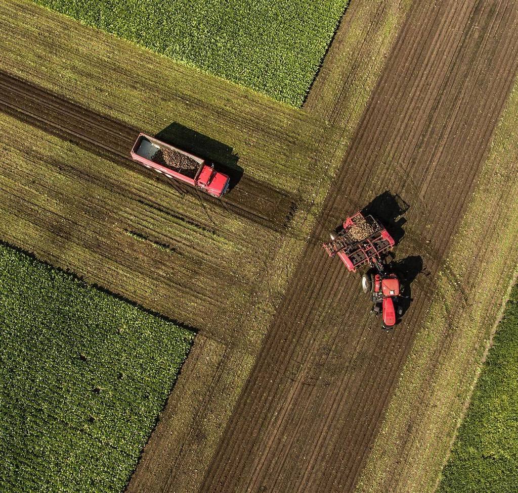 MPCapture's tweet photo. "The Dance" Pre-harvest #sugarbeets in full swing. Love this job. #phantom4 #photoshoot #northdakotalegendary https://t.co/S1PZkY6eYd https://t.co/fZZvv67y2O