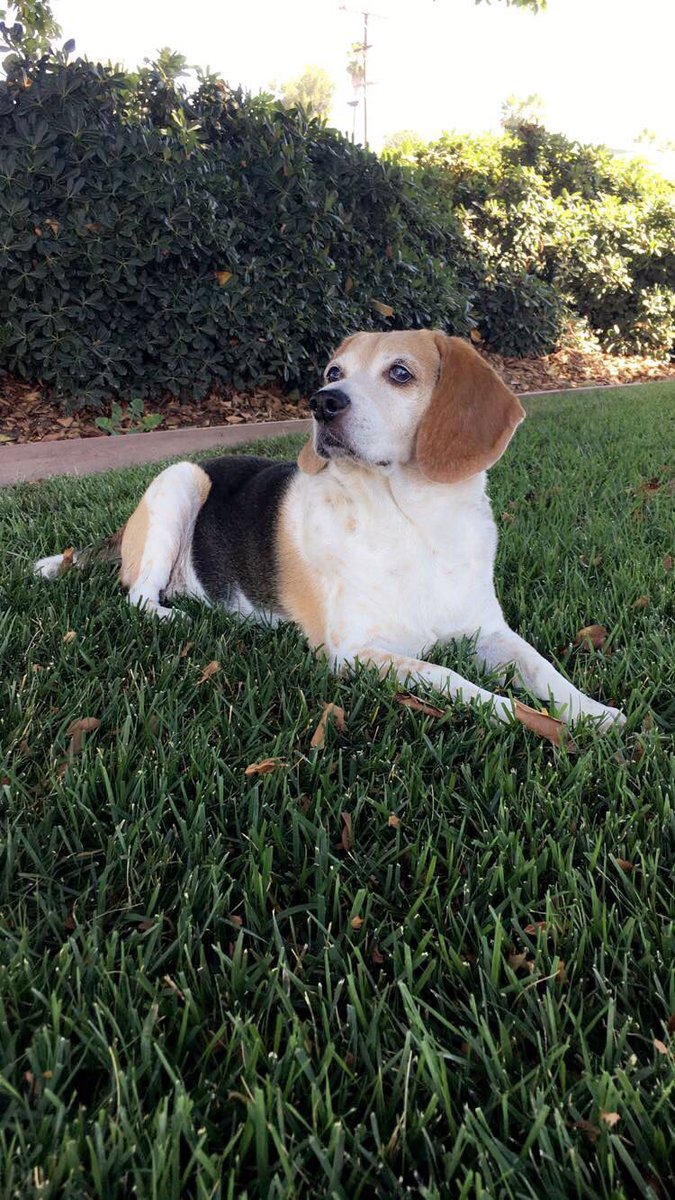 _AshleyJames_'s tweet photo. Rest easy, Jesse James https://t.co/4zhWyqzWKK