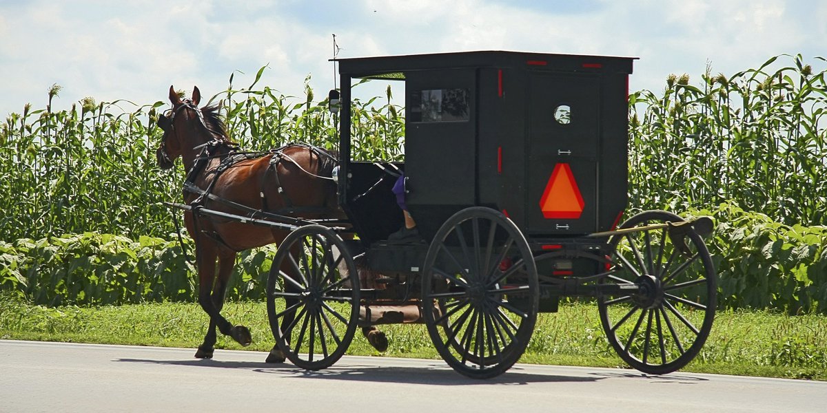 MitchInAZ's tweet image. Horse and Buggy ahead #UnlikelyWazeAlerts #PennsylvaniaProblems