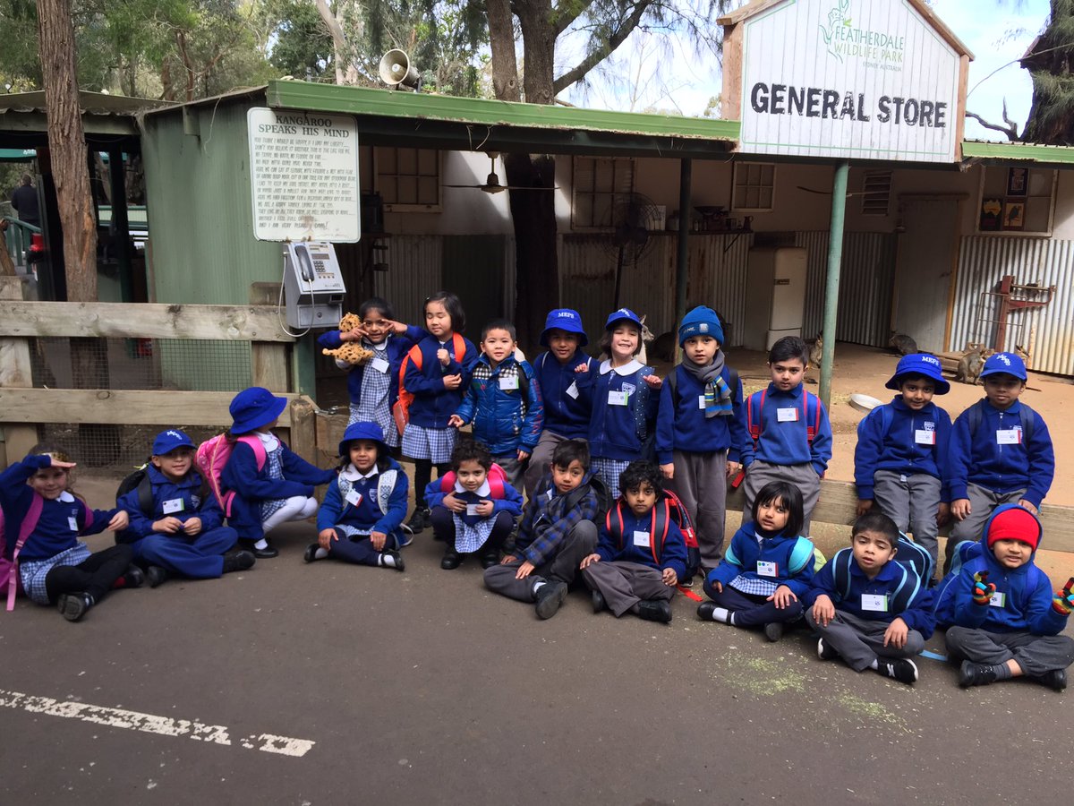 merrylandseast's tweet photo. Kindergarten meeting some Australian animals #Kindergartenexcursion https://t.co/1YjH1qJCJk