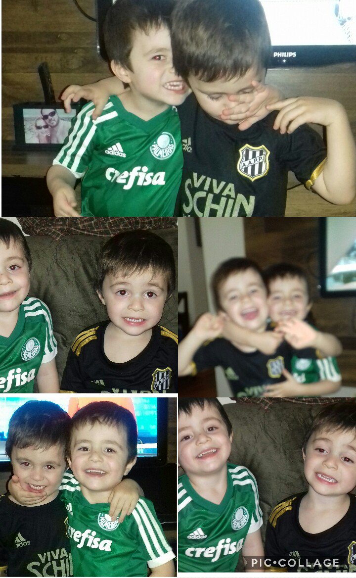 pollytmontaldi's tweet photo. #baitaamigos  Veloso assistimos toda segunda o programa com nossos filhos Pedro e João, que adoram a Macaca e o Porco. https://t.co/Vlvu2j4ooR