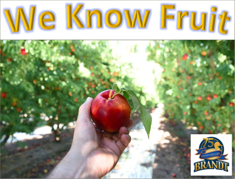 brandtfarms's tweet photo. #Farming & #sustainability are not just part of business, they are a way of life! #WeKnowFruit https://t.co/td7l5rl6qK https://t.co/JPfbxKKM9M