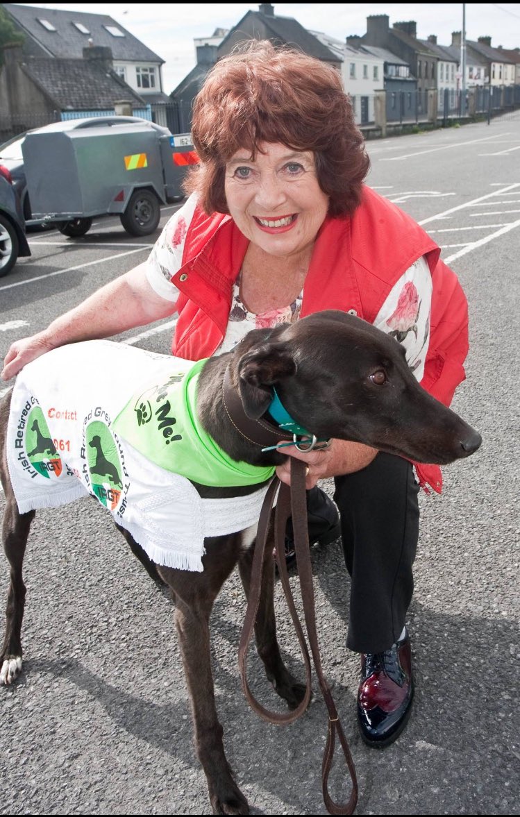 Galway Greyhounds tweet media