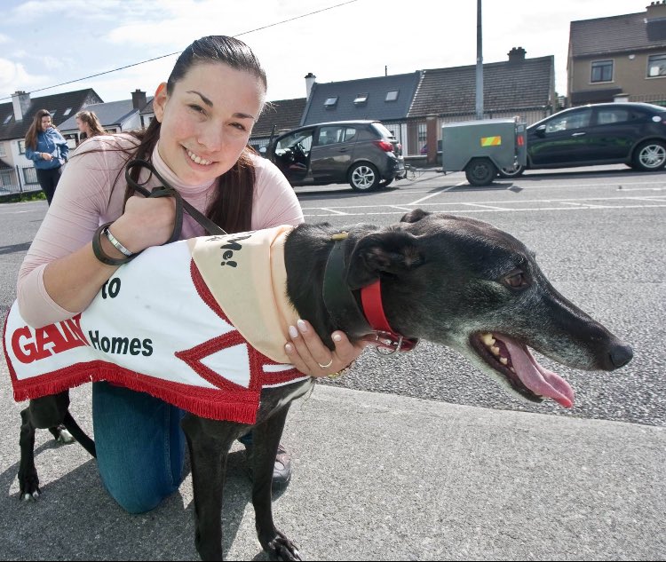 Galway Greyhounds tweet media