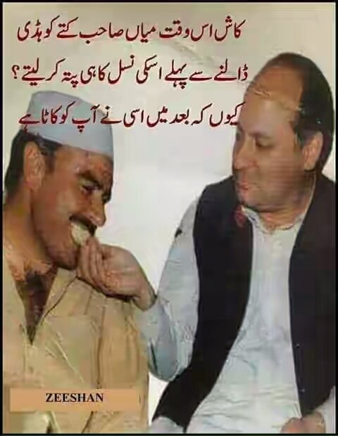 TacpkUro's tweet photo. @mJavedmali @ShkhRasheed  https://t.co/ebd6LDviFc
