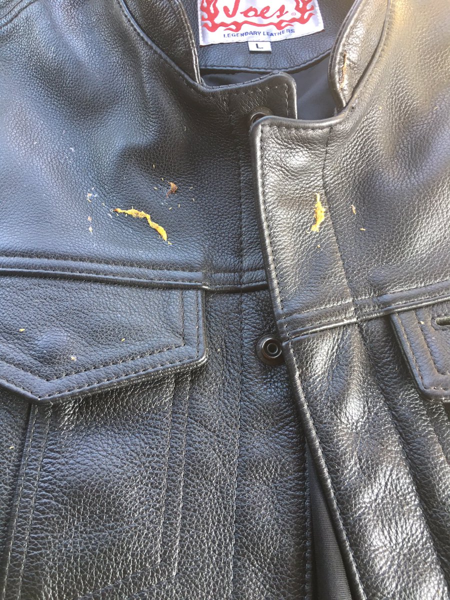 motonewbrider1's tweet image. It's lucky 🍀 promise 🤢🤢

#birdpoo #luckyme #BIKER #ThirdWorldProblems #tastedgood