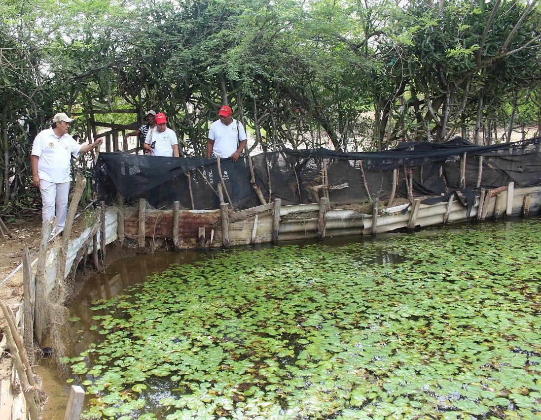 Inspeccionamos en Ararca el proyecto piscícola con pequeños productores beneficiarios del Distrito. 
#PorCartagena
#SeguridadAlimentaria