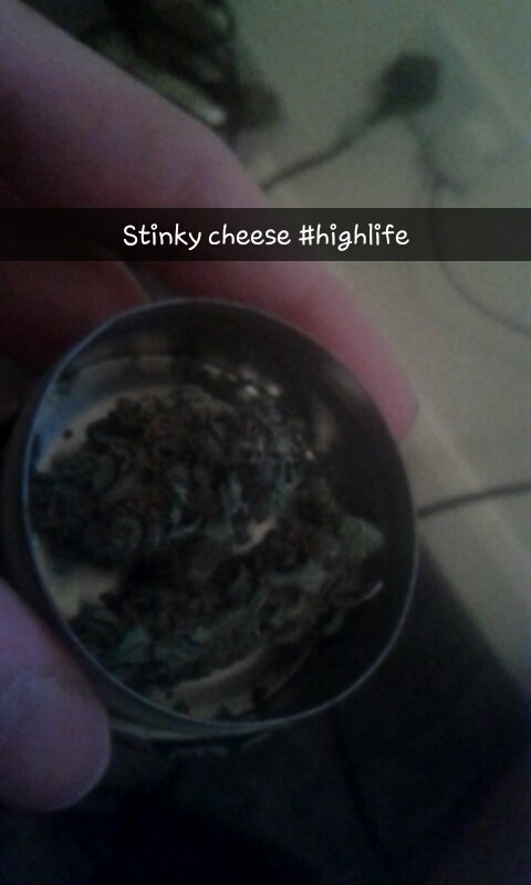supergingechris's tweet photo. When life gives you lemons change it for cheese #StonerNation  #420 #HighLife #stoner https://t.co/6wpq4hDynH