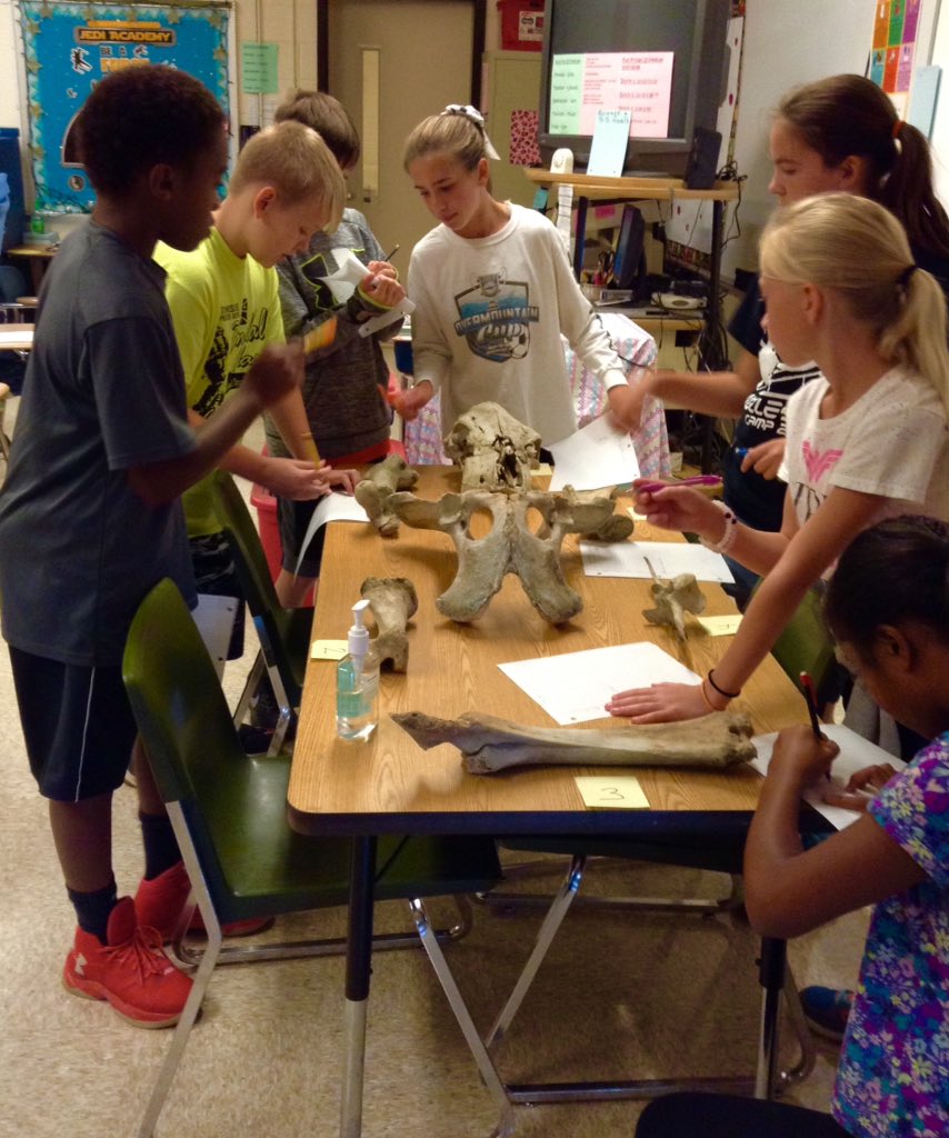 cakemaker1962's tweet photo. 6th Grade Paleontologists #paleontology @gray_elementary #bones #thewashingtonway #fossils #sciencecareers #carbondating #findingfossils https://t.co/zEPxH37QlE
