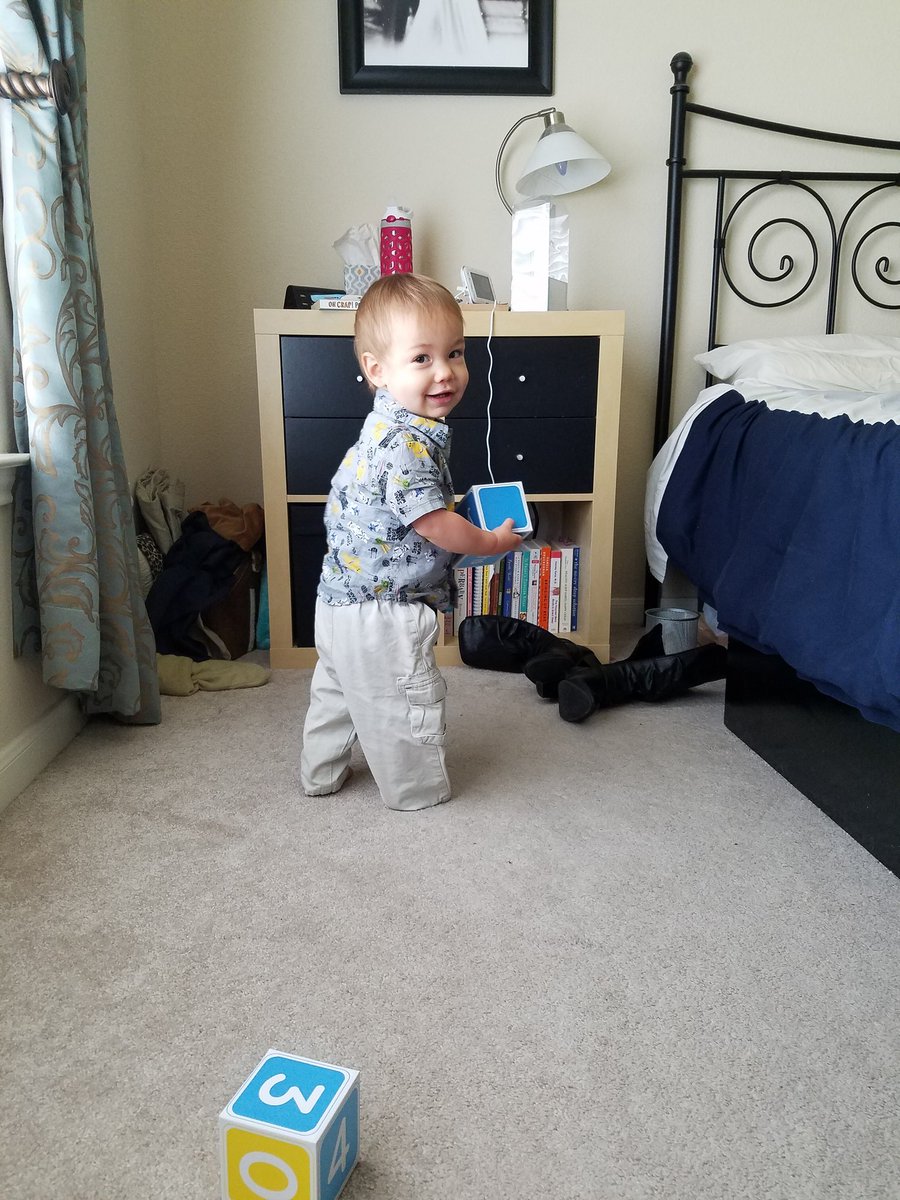 Malvina80's tweet photo. Big day for this guy, too! #CalebEmil @SamB82 https://t.co/cJc3VByNgr