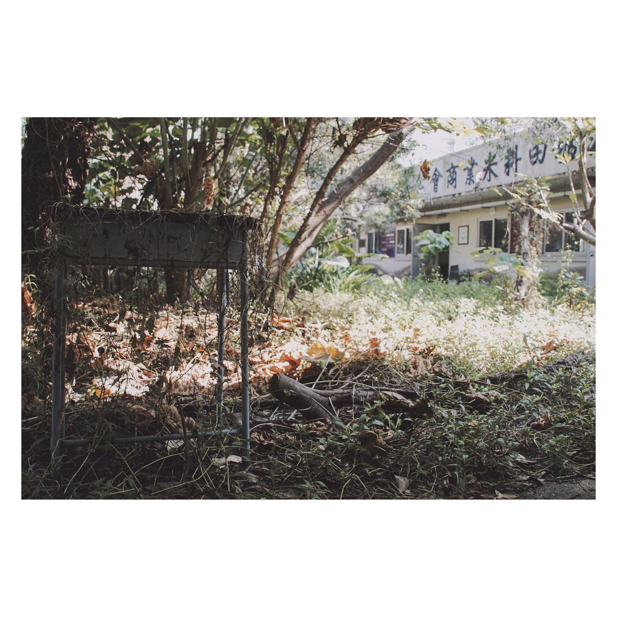 GoldM_image's tweet photo. Abandoned school  #abandoned #school #oldchair #nobody #photography #sunlight #schoolchair #empty #abandondschool https://t.co/V3xyitTvNT