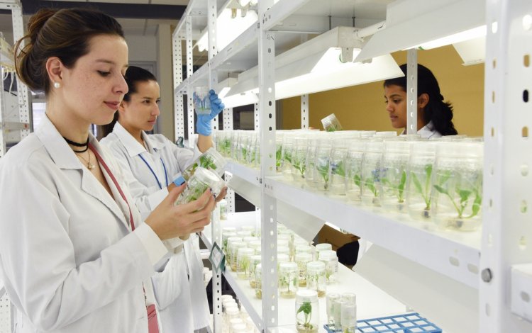 Teccr's tweet image. TEC proyecta más #mujeres en carreras de #ingeniería: bit.ly/2vD7tsE