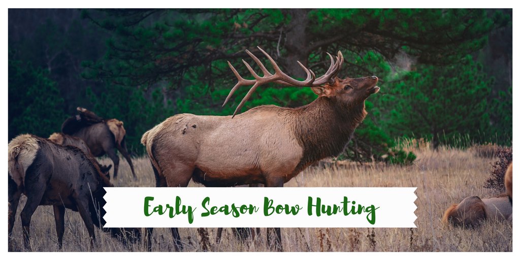 WHAT ARE YOU WAITING FOR? Early season bow hunting is some of the best. Grab a bow and start hunting now! ow.ly/XJJ730ezFfX