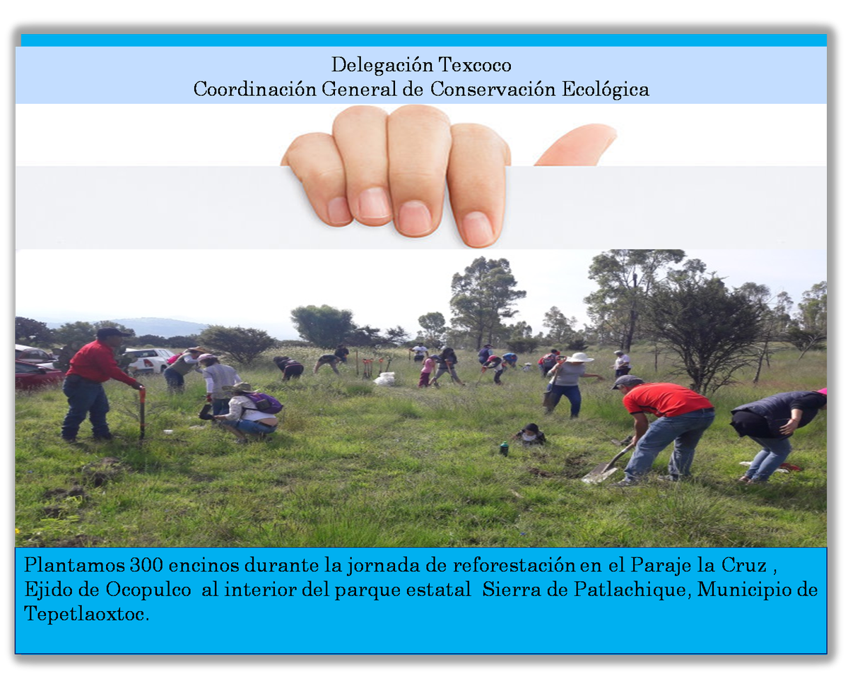 DelTex_CGCE's tweet photo. Te invitamos a ser parte de nuestras reforestaciones @FVE_CGCE https://t.co/41clveFQo7