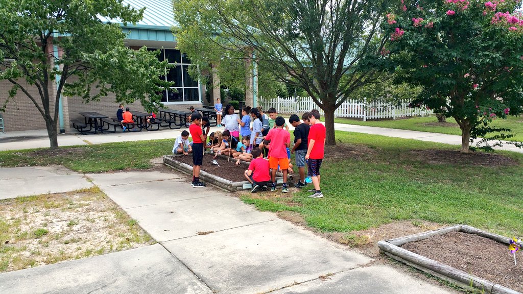 KyleHamstra's tweet photo. That's 1" deep, 4" apart! @DrPowellReads class plants "purple green beans" in #ddegardens on #firstdayofschool! #sci5L22 #math5MD1 #ddestem https://t.co/OSXWcDVseq