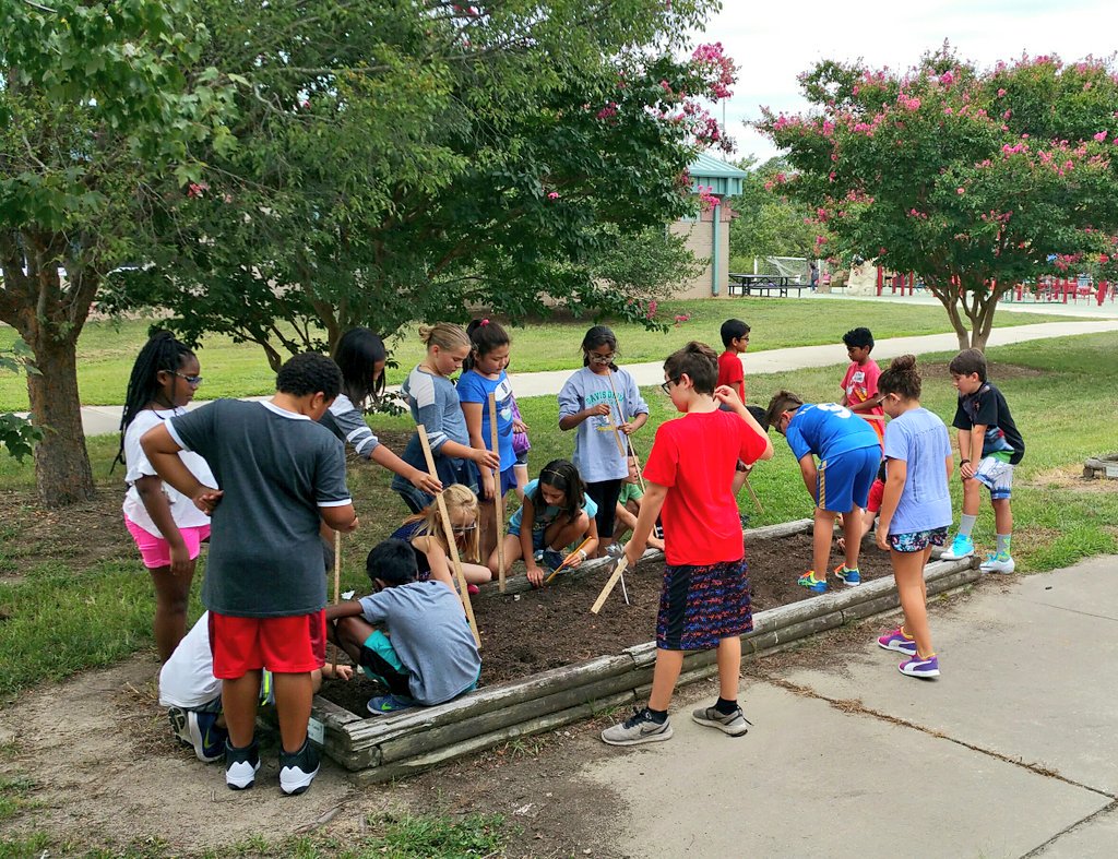 KyleHamstra's tweet photo. That's 1" deep, 4" apart! @DrPowellReads class plants "purple green beans" in #ddegardens on #firstdayofschool! #sci5L22 #math5MD1 #ddestem https://t.co/OSXWcDVseq
