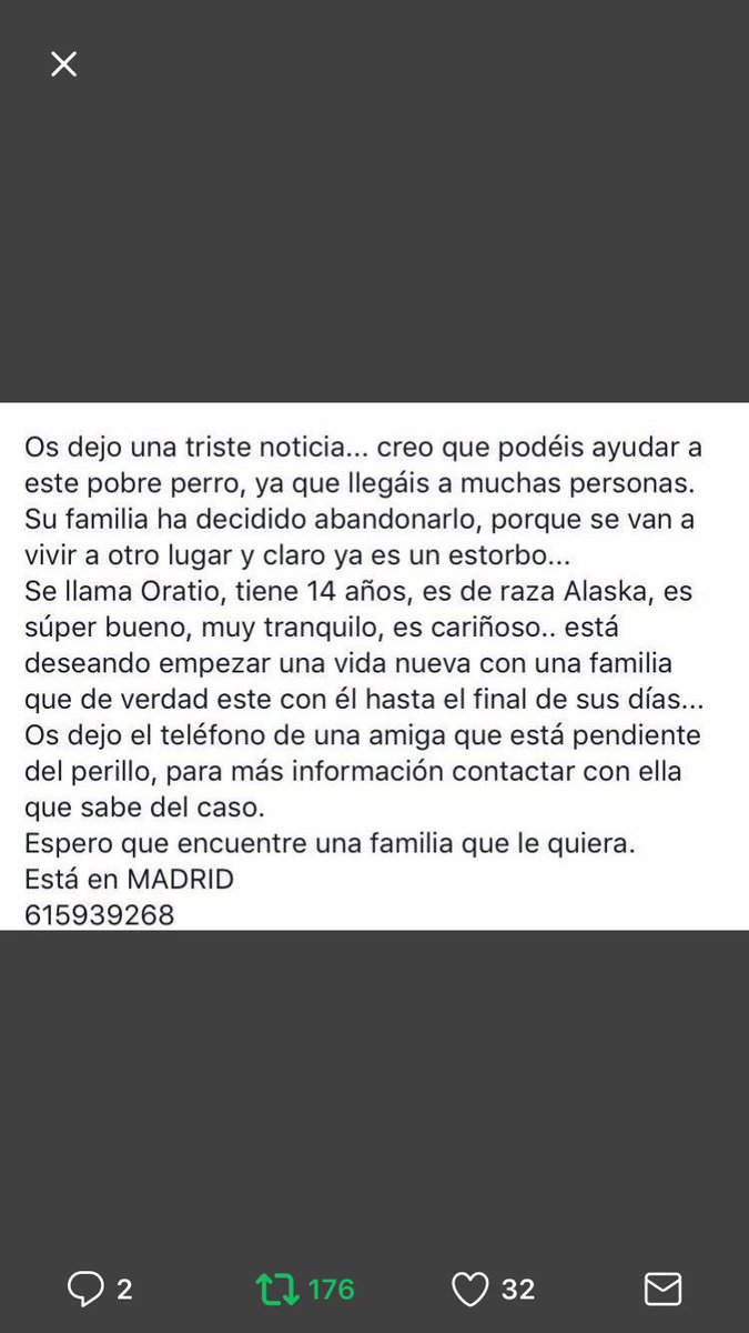 noesviernes's tweet photo. Gente de #madrid perro majisimo que necesita adopcion urgente!!! @Metodologic https://t.co/LRqUVdgzka
