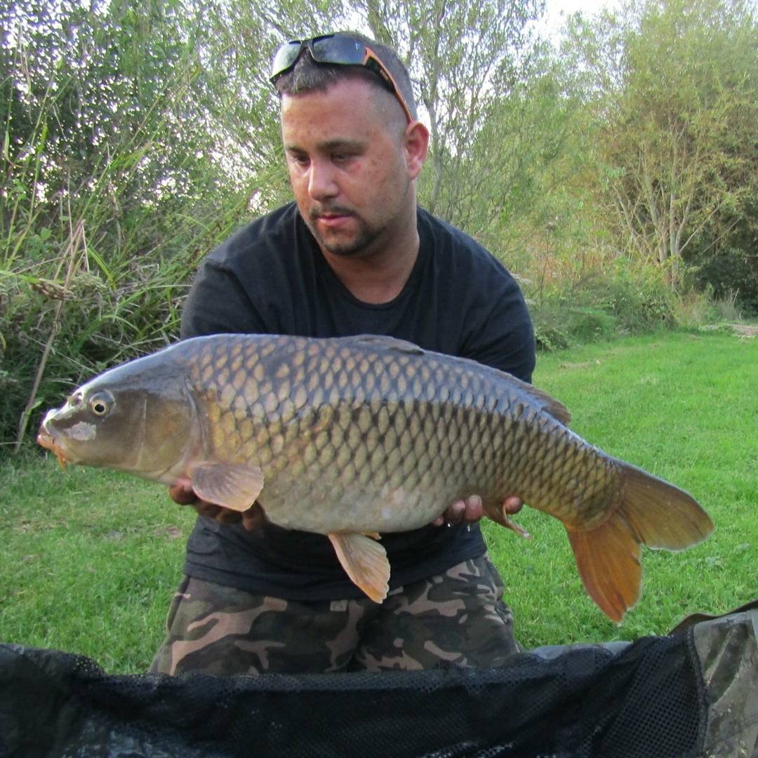 sammymill85's tweet photo. So went to Todber Manor  for few hrs and in 5/6 hrs we had 6 carp 5 of them of the top https://t.co/H4vAKtITnJ