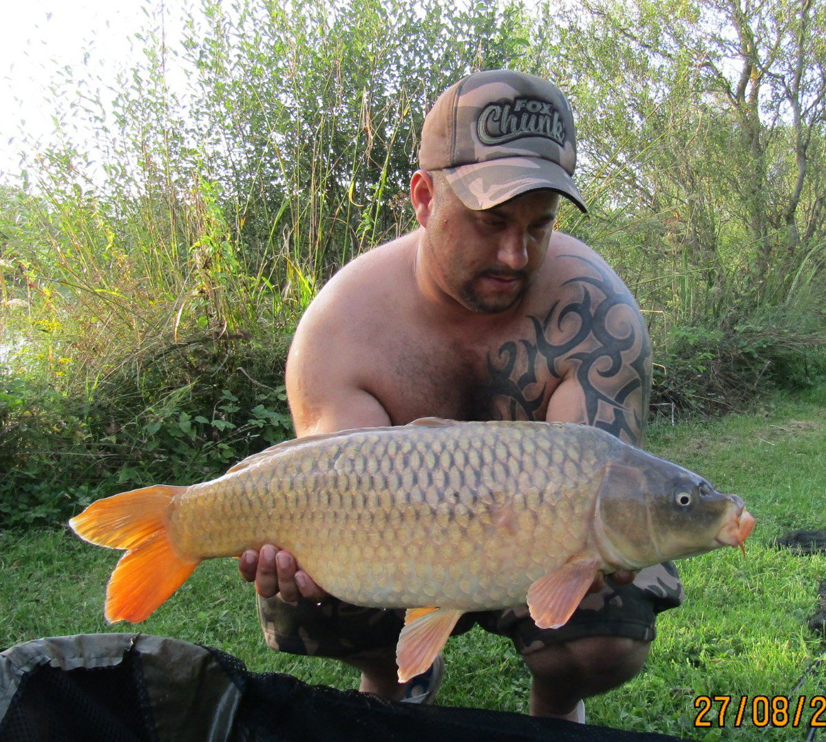 sammymill85's tweet photo. So went to Todber Manor  for few hrs and in 5/6 hrs we had 6 carp 5 of them of the top https://t.co/H4vAKtITnJ