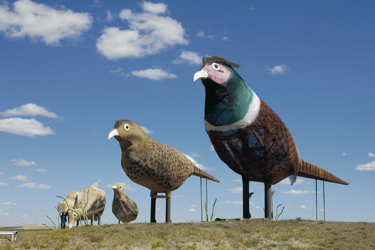 RawVisionMag's tweet photo. In #RawVision 95: #GaryGreff’s giant scrap-metal #sculptures in #NorthDakota!
#sculpture #outsiderart #artbrut #largescaleart #selftaughtart https://t.co/LcNIp7H68F