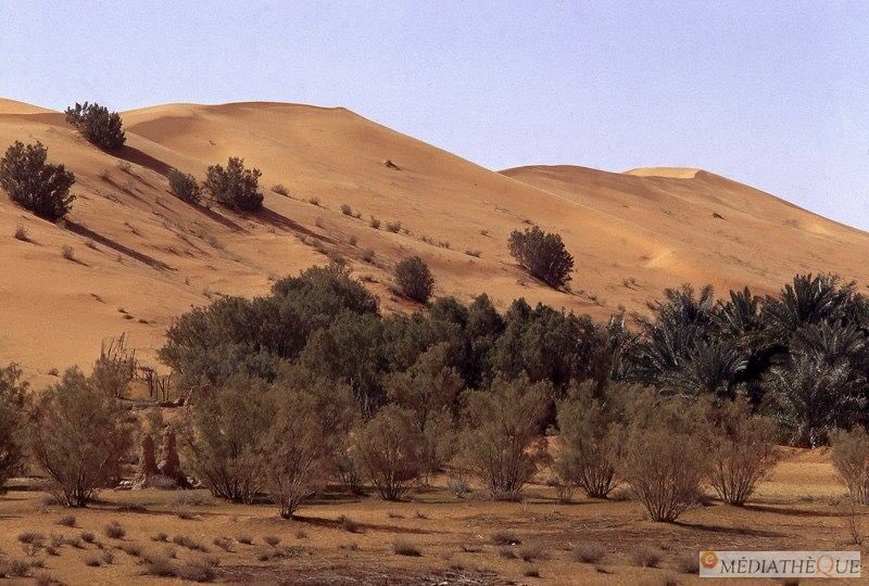 zmanjamel's tweet photo. الزلفي ، نفود الثويرات سنة ١٣٩٤هـ ، ١٩٧٤م
#الزلفي
#صور_قديمة_لزمن_جميل https://t.co/dvbP95qALo