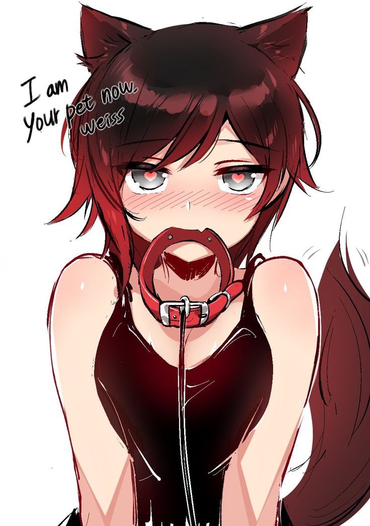 ShyRubyRose's tweet photo. •heya I'm Ruby!• 
•short tempered• 
•detailed rp - lewd/non• 
•lesbian - ships with chemistry• 
•please retweet?•
#openrp #lewdrp #anyrp https://t.co/E8YLlYfkAY