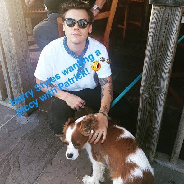 Harry el día de hoy en Holmes Chapel