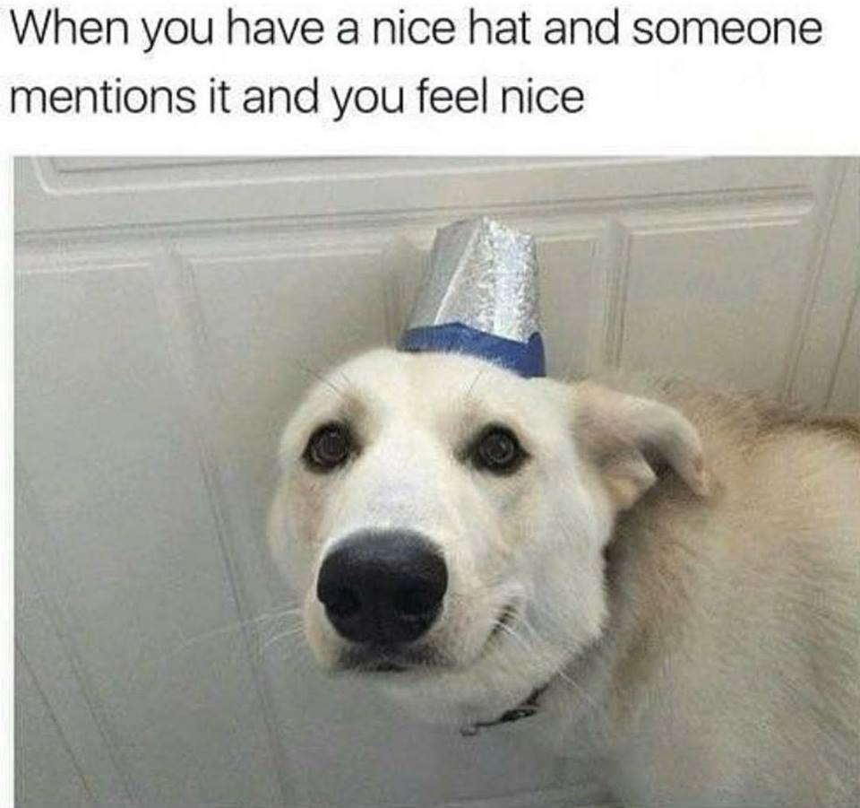 WholesomeMeme's tweet photo. #WholesomeMeme #memes https://t.co/Wywkcf0Jpd