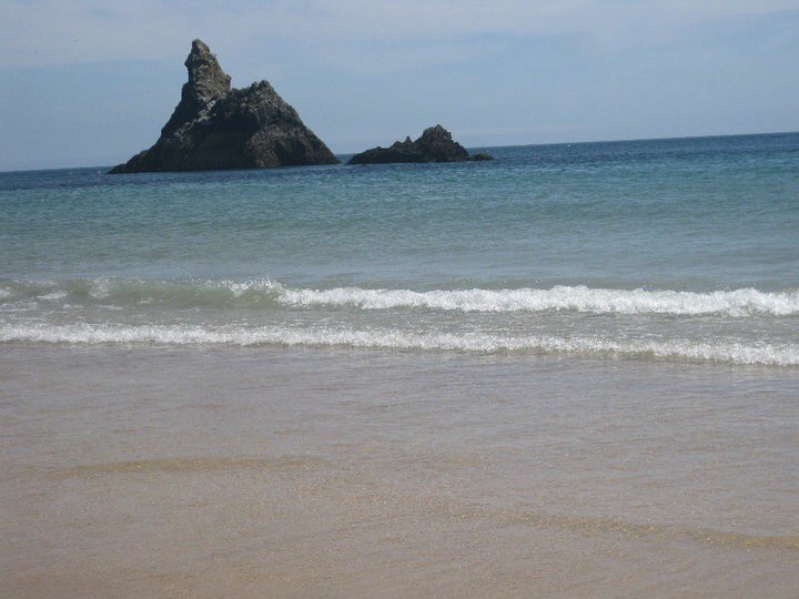 Pembs Farm B + B tweet media