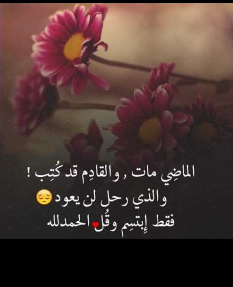rahilasad4's tweet photo. @nohaaldeeb476 @hassanitarek @Khaled_alhasak @AyoubZbon @ashrraaf2  https://t.co/DJSEiLZTxn