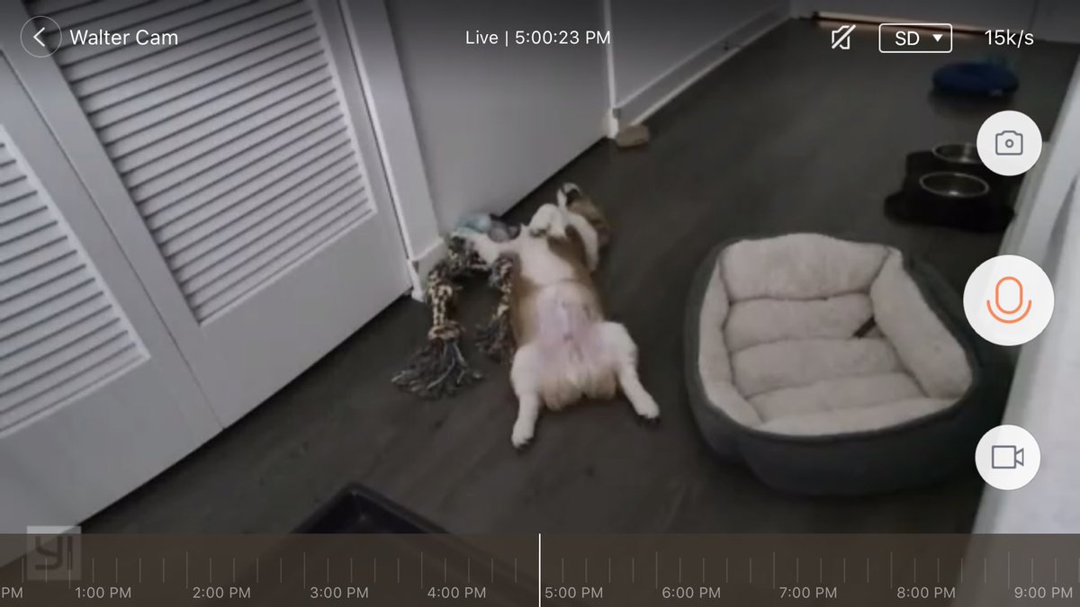 Darcii13's tweet image. Nothing puts more of a pep in my step than knowing Walter is waiting for me #nsfw