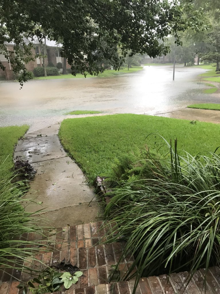 From the front door, @CaseyWeather in Pecan Grove.