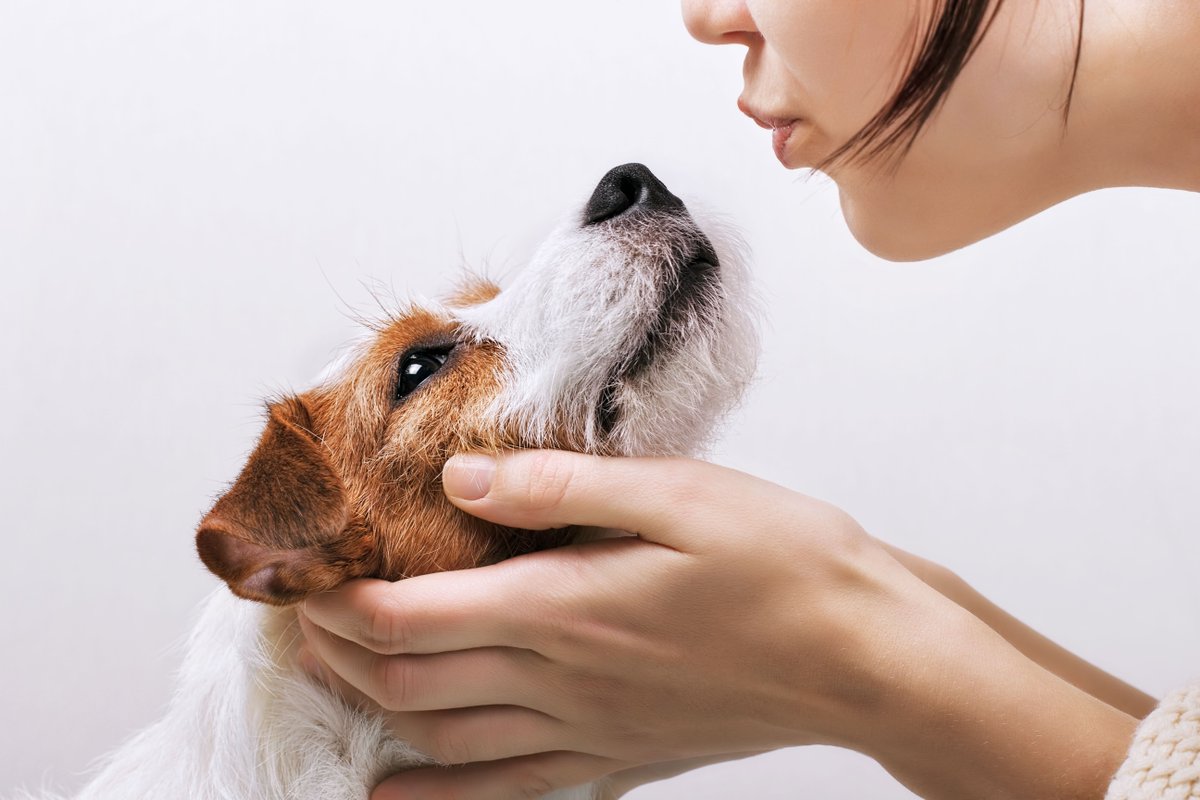 FMPetFoods's tweet photo. Love is a four legged word. https://t.co/sGfqLjKxXs