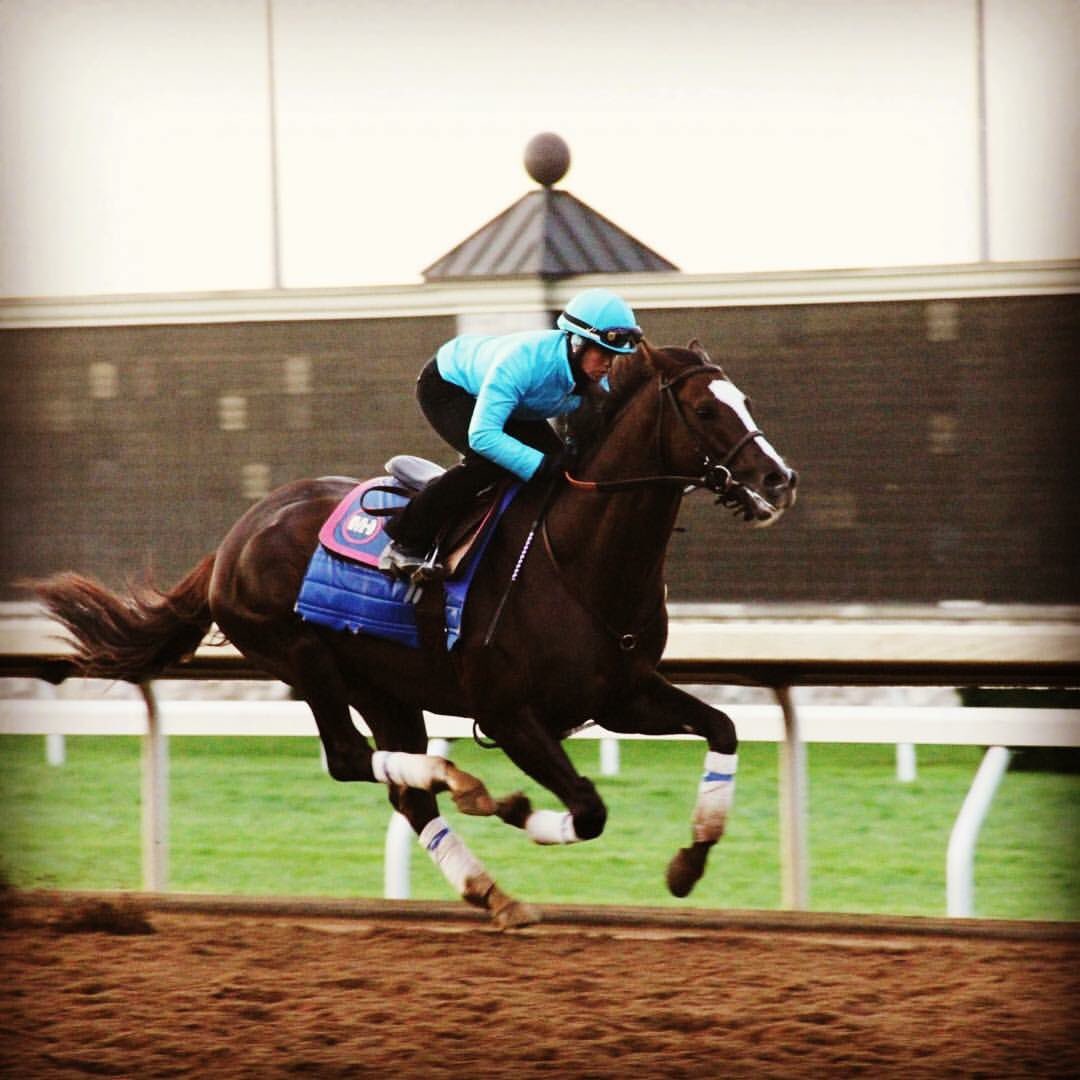 rickmock7's tweet photo. Going back to work as an agent at the upcoming Fair Grounds meet. Very excited to be representing Sophie Doyle. https://t.co/m3YhnxWy6Z