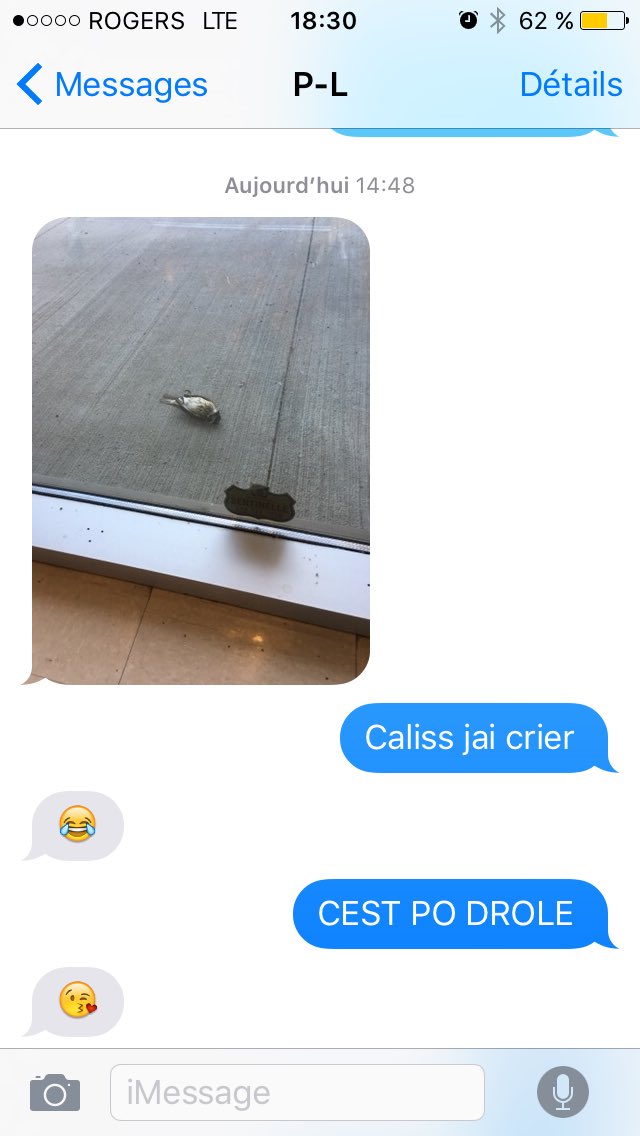 alejandrinagb's tweet photo. Genre de convo de moi et mon boss ...... 🙃🙃🙃 ****jai une phobie des oiseaux https://t.co/CzXrGLYtIv