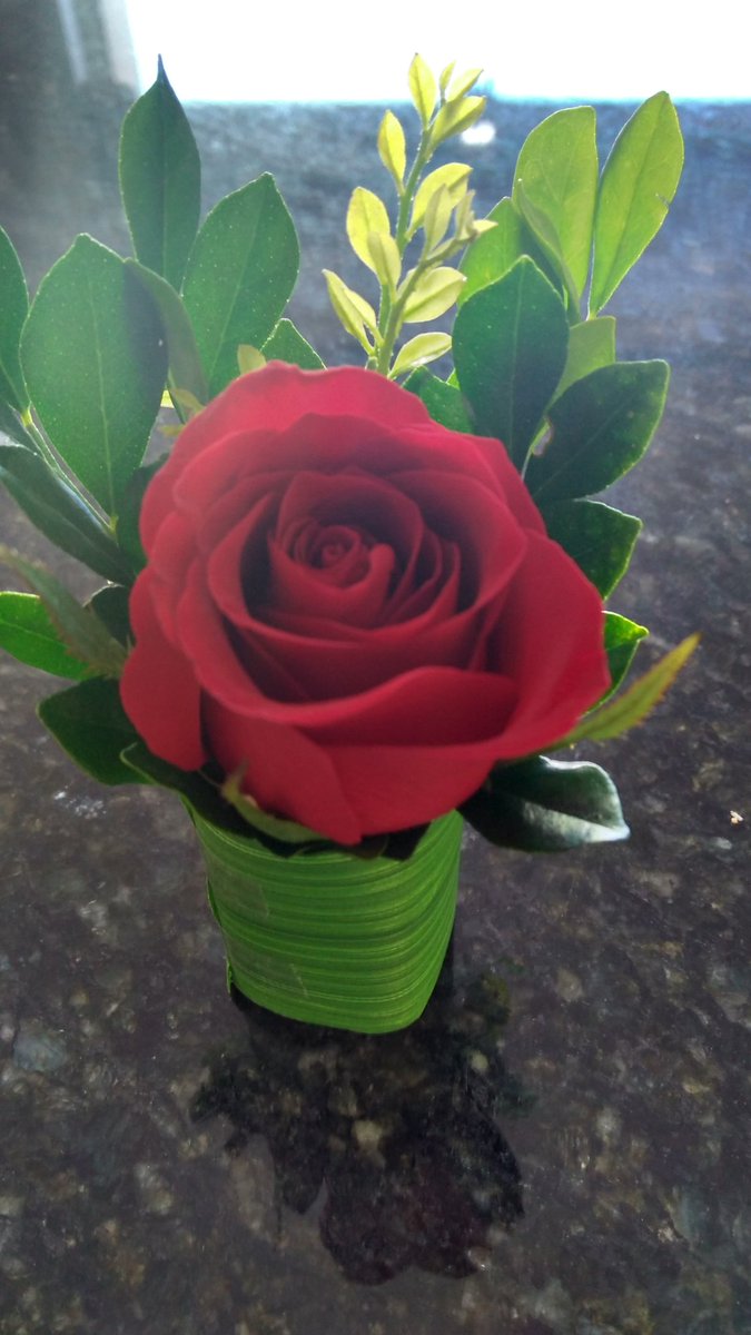 #fiorebella #BetaQuerLab