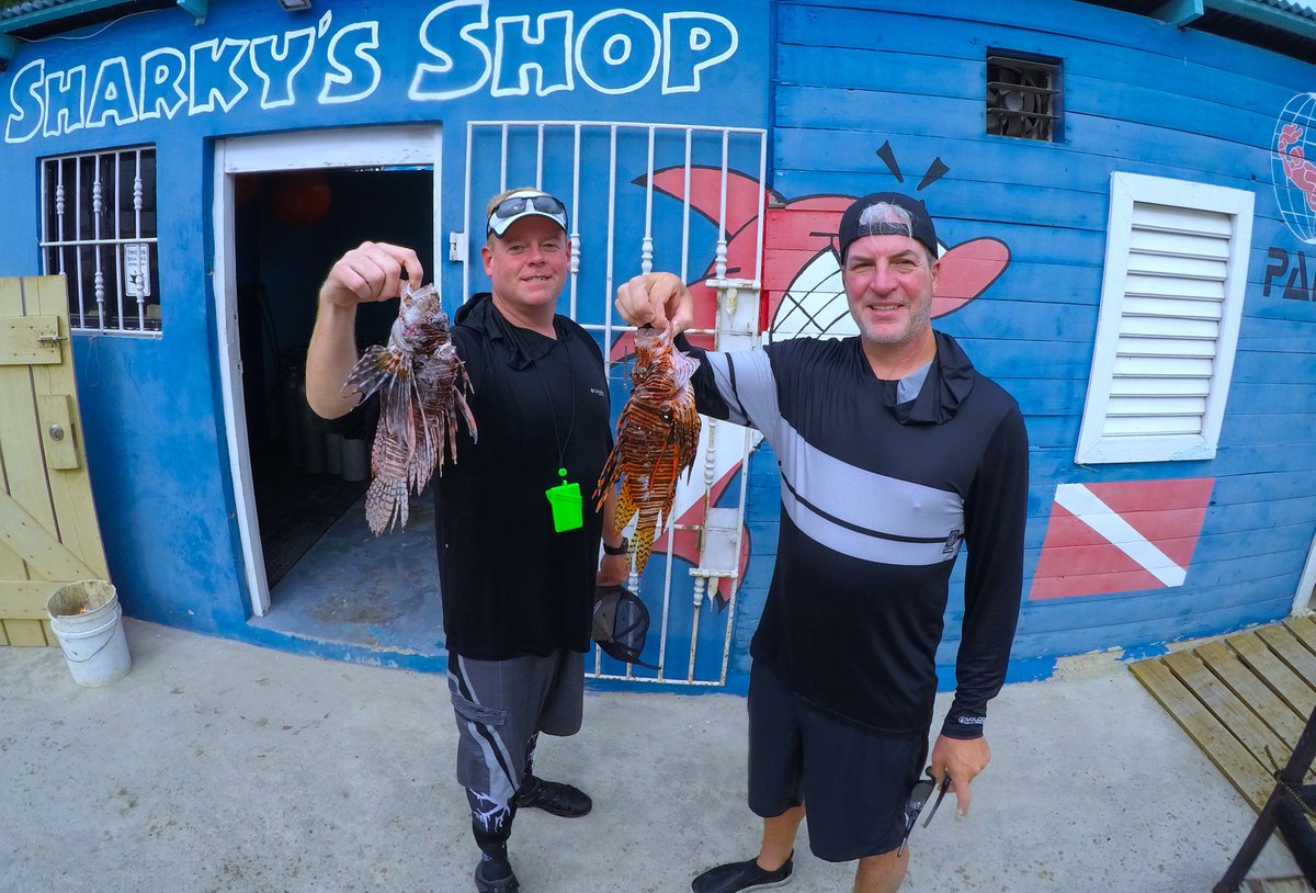 SharkyCrew's tweet photo. WE HUNT LION FISH. We hunt them for sport, we hunt them for food and to protect our coral reef. Thank you for #scubadiving with us! https://t.co/KerFKTyb5v