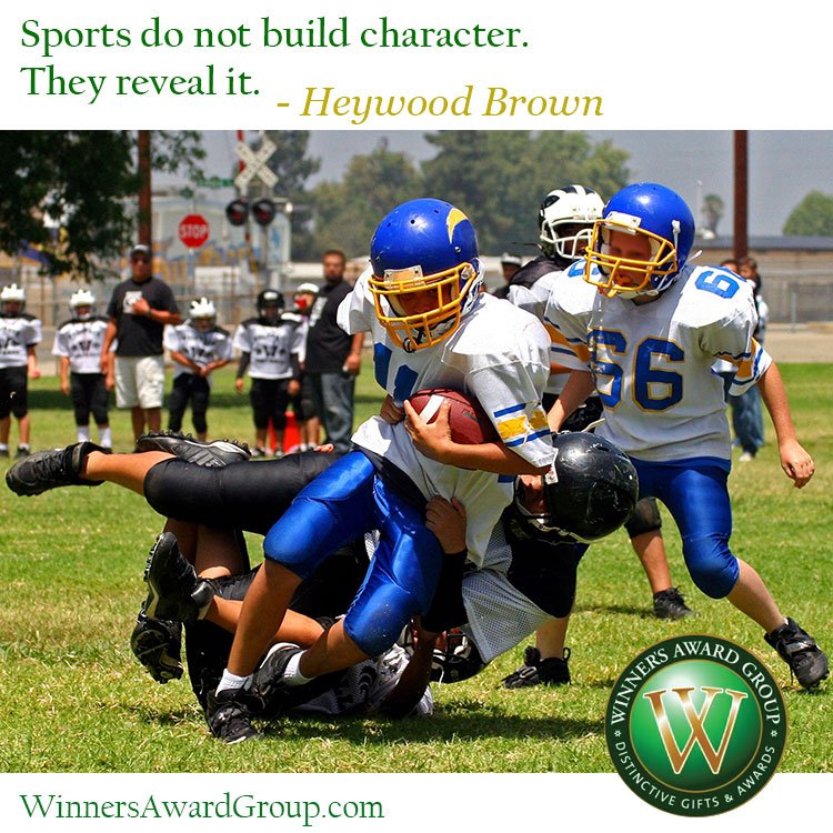 WinnersAward's tweet photo. Field or fantasy league, we are passionate about our football.  We have the trophies your league deserves. #fantasyfootball #trophies https://t.co/QGX22XdbCl