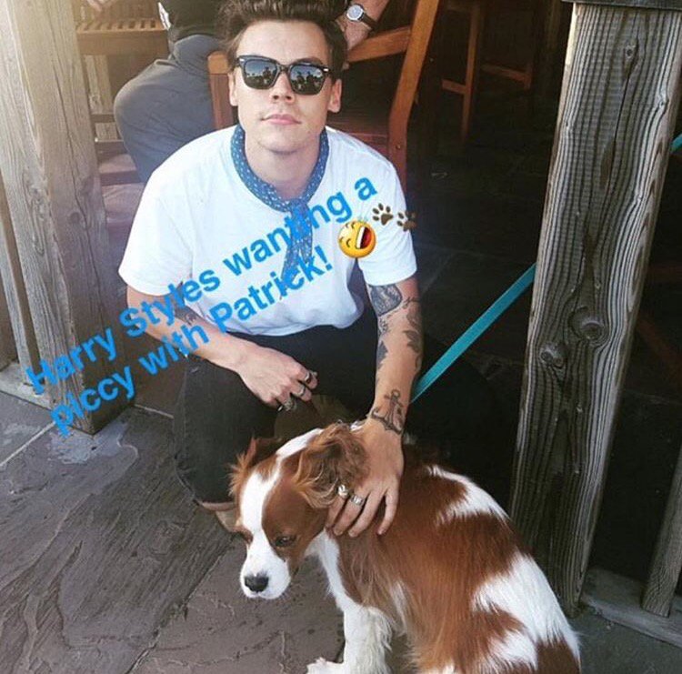 lowqualityxhes's tweet image. 