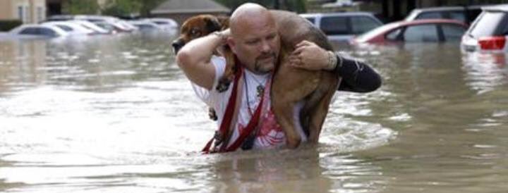 gllgina1's tweet photo. #Texas #HurricaneHarvey #Godhelpyouall https://t.co/Wj2tOKQbqb